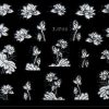 Allepaznokcie Naklejki 3D Kwiatki TJ016 BIAŁE ze srebrną obwódką arkusz